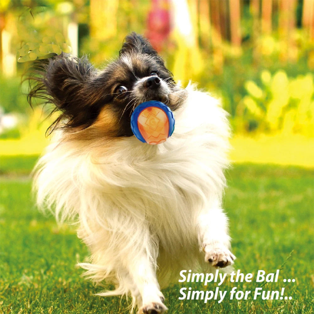 Interactive Squeaky Dog Ball – Durable Rubber Chew Toy for Puppies & Dogs