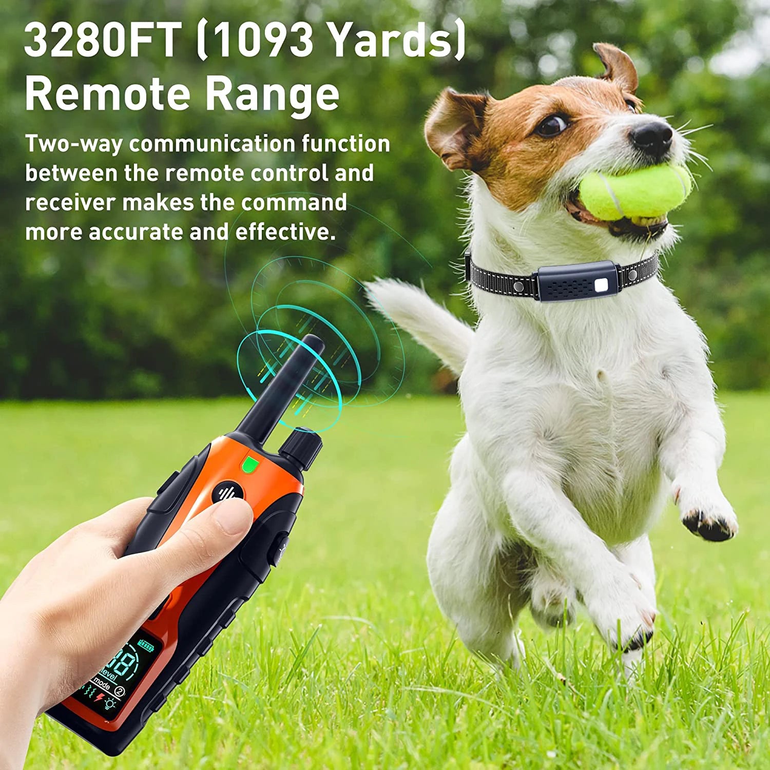 Dog Training Collar with Remote – 1000m Range, Waterproof & Rechargeable for Small, Medium & Large Dogs